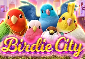 bindie city